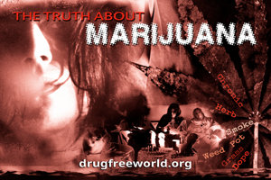 The Truth About Marijuana The Truth About Marijuana